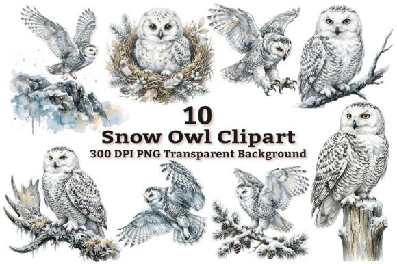 Download Majestic Snowy Owl Clipart Bundle PNG - Majestic Collection